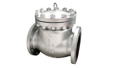 Stainless Steel SMO 254 Check Valves